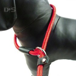 Haustier-Hunde-Nylon-Trakti...