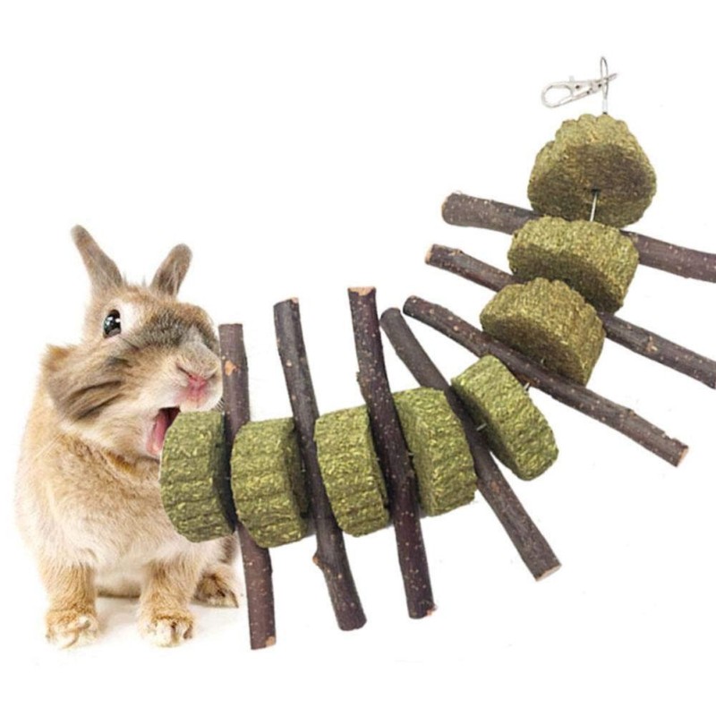 Kaninchen Hase Hamster Zähne Gesundheit Apfel Holz Stick Gras Heukuchen Herz Kau spielzeug