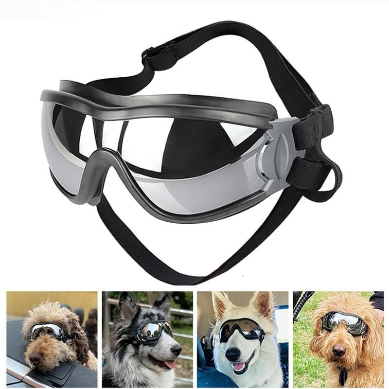 Haustierbrille, Hundebedarf, Schutzbrille, wasserdicht, winddicht, sonnenbeständig, UV-beständig, große Hundebrille