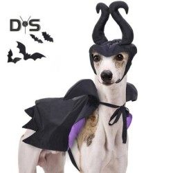 Haustier-Kostüm-Set für Hunde, Halloween, Hexenkleidung, Katzenumhang, lustiges Hunde-Zauberer-Outfit, Mantel, Bekleidung, Co