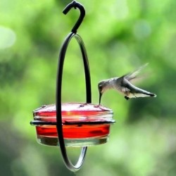 Ant Bee Proof Outdoor Humming Bird Feeder Plastic/Metal Hanging Hummingbird Feeder  Outdoor