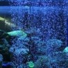 Flexible Luftpumpe Steinvorhang Blasenwandrohr Schlauchleitung Rohrdiffusor AeratAquarium Zubehör