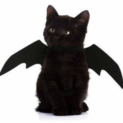 Katze Cosplay Kleidung Kostüm Schwarzer Fledermausflügel Halloween Party für Heimtierbedarf 1St