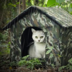 Wasserdichte Katzen- und Hundehütten für den Außenbereich, Winterzelt, kältebeständiges Nest für drinnen und draußen, für kle