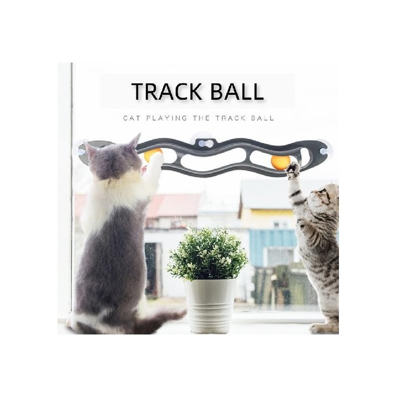 Katzen-Trackball-Spielzeug, Wandspielzeug, Katzen-Trackball-Spielzeug, Katzen-Saugerball