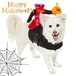 Halloween Pet Costume...