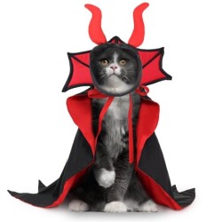 Dog Vampire Costume & Hat for Small Pet Halloween Party Dog Costume Cloak for Small Cat Dog Cosplay Dress Up Outfit