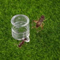 Cricket-Acryl, rund, langlebig, Ameisen-Wasserspender, Ameisen-Nest-Haus, Ameisen-Futterspender, Reptilien-Trinkschale