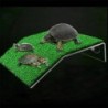 Brasilianische Schildkröte Kletterleiter Kletterplattform Aquarium Kletterschildkröte Simulation Landschaftsbau N1M4