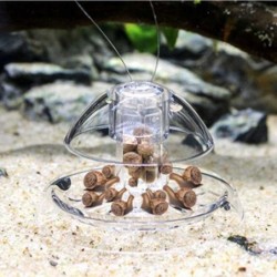 1PC Clear Snail Tank Plants...