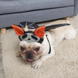 1 Set Dog Headwear...