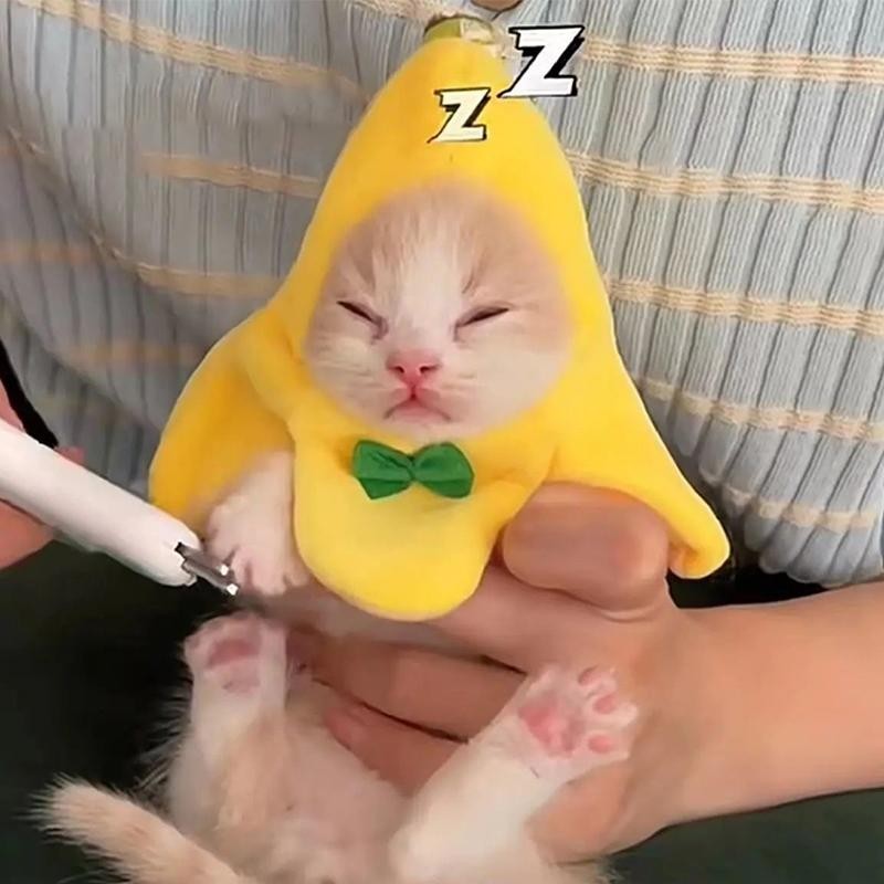 Bananen-Katzen-Kopfbedeckung, kreative süße Katzen, Haustier-Bandana, Kopfbedeckung, Plüschkatzen, Cosplay-Kostüme, Bananen-K