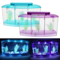 Mini Aquarium Aquarium...