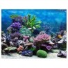 PVC-Kleber Unterwasserkoralle Aquarium Fisch Hintergrund Poster Hintergrund Dekoration Papier