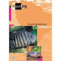 Animalbook South American...