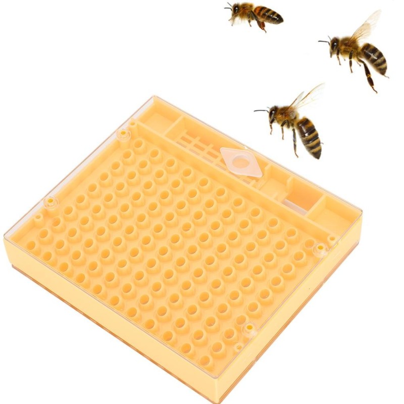 Kunststoff Bee King Inkubator Free Move Harmless Zuchtbox Imker Imkerei