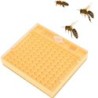 Kunststoff Bee King Inkubator Free Move Harmless Zuchtbox Imker Imkerei