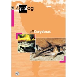 Animalbook All Corydoras -...