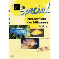 Animalbook Korallenfische...