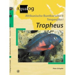 Animalbook Afrikanische...