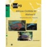 Animalbook African Cichlids III Malawi II - 1 Stk