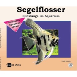 Animalbook Segelflosser - 1...