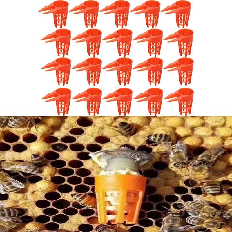 20 Stücke Kunststoff Bee Queen Schutzhülle Handy Abdeckung Bienenzucht Ausrüstung Käfig Werkzeug