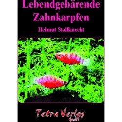 Animalbook Lebendgebärende Zahnkarpfen - 1 Stk