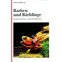 Animalbook Barben und...