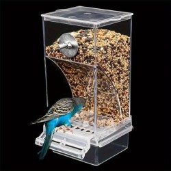 6/5000 acrylic bird feeder, Durable Seed Container For Parakeets & Small To Medium Birds