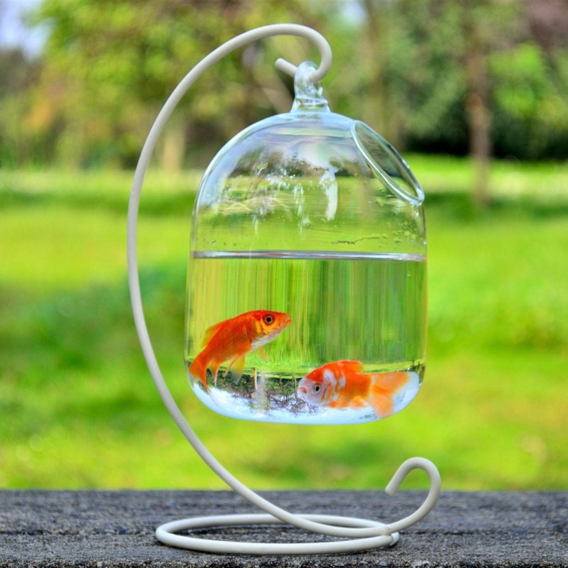 Heimdekorationen, Mini-Aquarium, zum Aufhängen, mit Ständer, transparente Aquarium-Vase aus Glas