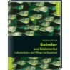 Animalbook Salmler aus Südamerika - 1 Stk