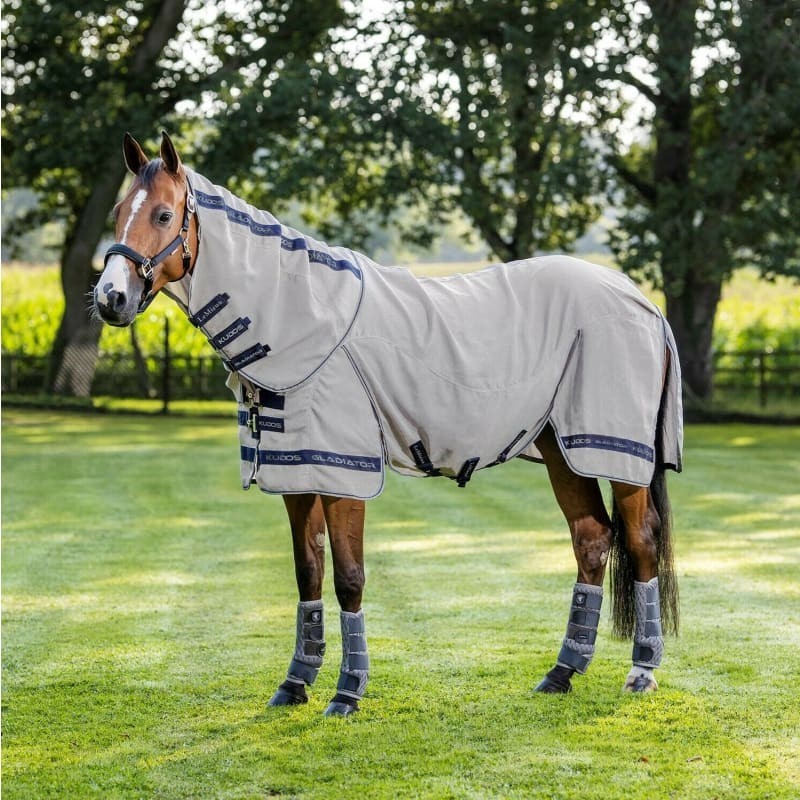 LeMieux Kudos Gladiator Fly Rug