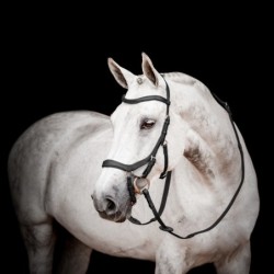 Horseware Micklem II Competition Bridle mit Zügel