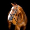 Horseware Micklem II Diamante Competition Bridle