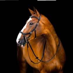 Horseware Micklem II Deluxe Competition Bridle