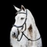 Horseware Micklem II Multi Bridle