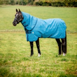 Horseware Amigo Hero 900 Revive Turnout Plus 200g