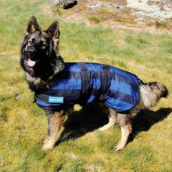 Cool on Track Cooling Dog Coat