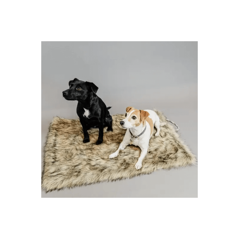 Kentucky Dogwear Dog Bed to Go Blanket Fuzzy