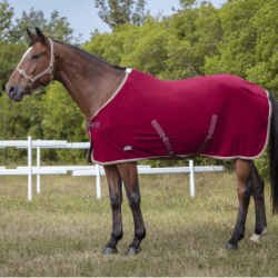 Equithème Polarfleece vielseitige Decke Polyfun