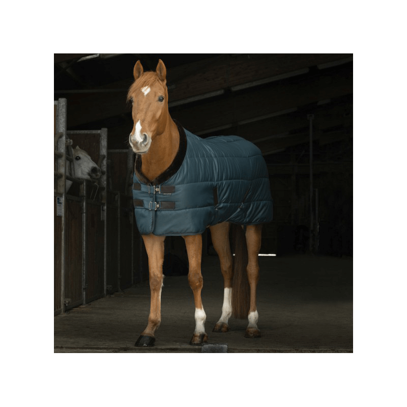 Equithème Teddy Stalldecke 200g