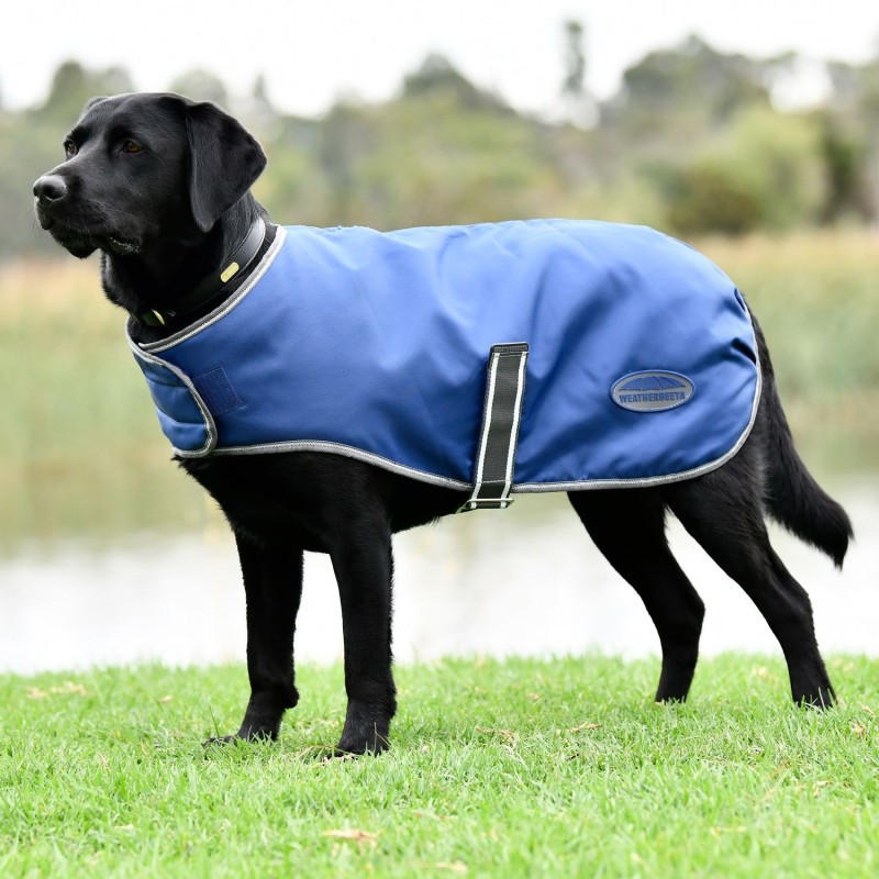 Weatherbeeta Comfitec Windbreaker Free Hundemantel