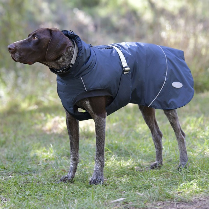 Weatherbeeta Explorer Medium Hundemantel