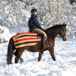 Horseware Rambo Newmarket Competition Fleece - black/red/gold