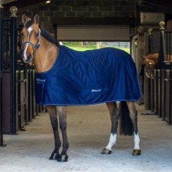 Bucas Power Cooler  - navy/silver