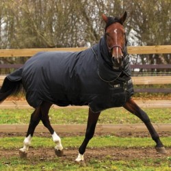 Horseware Trot Plus Turnout Heavy 350g -Black/Black&Tan