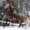 Horseware Rambo Supreme mit Vari-Layer Heavy 450g incl. abnehmbarem Halsteil / black with red