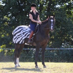 Bucas Riding Rug - zebra