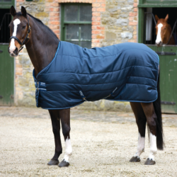 Horseware Amigo Insulator lite 100g - Navy with Navy & Navy